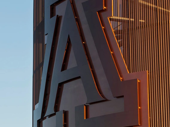 University of Arizona avatar